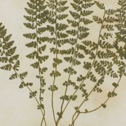 Farmhouse Wood Leaf Framed Wall Art With Brown Frame Set Of 2 Light Brown - Olivia & May -Home Decor Shop GUEST 0a6dbe9e 850a 4700 84c5 c8b7deee9f84