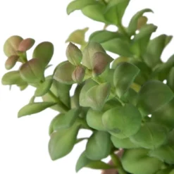 Northlight Real Touch™ Artificial Privet Plant In Vintage Milk Can Style Earthenware Pot - 14" 13 Northlight Real Touch™ Artificial Privet Plant In Vintage Milk Can Style Earthenware Pot - 14" -Home Decor Shop GUEST 0f8dac75 a606 4758 a838 f7f24347641b