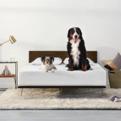 Machine Washable Waterproof Mattress Protector - Tuft & Needle -Home Decor Shop GUEST 19827f0d 28d0 4c0e 9286 47ed33bcccd0