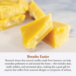 Candle By The Hour 120-Hour Beehive Candle Refill, Eco-friendly Natural Beeswax With Cotton Wick -Home Decor Shop GUEST 1be736d2 98df 44a4 a9c7 7790105f7a35 2