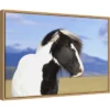 23" X 16" Icelandic Horse By Peter Langer Danita Delimont Framed Canvas Wall Art - Amanti Art -Home Decor Shop GUEST 1e098f93 7cb1 4e69 9775 d5b1b8a782ef