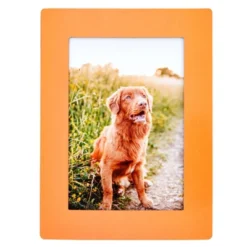 Juvale 15-Pack 4x6 Magnetic Picture Frames For Refrigerator, Locker, Office, Kitchen Cabinet, Classroom, Holds 4x6 Photos, 5 Colorful Borders -Home Decor Shop GUEST 34c2f69c b58a 4f01 99b5 434f35918508