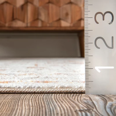 NuLOOM Zahra Faded Native Panels Area Rug 4 NuLOOM Zahra Faded Native Panels Area Rug - Image 2