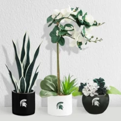 Forever Leaf Michigan State Artificial Snake, Orchid And Hydrangea Plants 3-Pack Bundle, Indoor Artificial Plant For Home Decor -Home Decor Shop GUEST 55e805b4 882f 4368 b1ee 65077dcce43b
