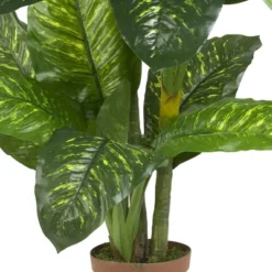 Nearly Natural 5' Dieffenbachia Silk Plant (Real Touch) -Home Decor Shop GUEST 598ae415 b171 4b54 b003 bc98d77cca3e