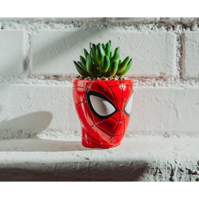 Silver Buffalo Marvel Comics Spider-Man 3-Inch Ceramic Mini Planter With Artificial Succulent 6 Silver Buffalo Marvel Comics Spider-Man 3-Inch Ceramic Mini Planter With Artificial Succulent - Image 4