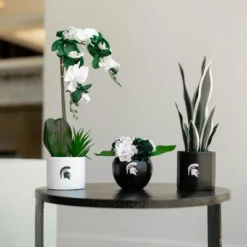 Forever Leaf Michigan State Artificial Snake, Orchid And Hydrangea Plants 3-Pack Bundle, Indoor Artificial Plant For Home Decor -Home Decor Shop GUEST 5e131ab6 9ff6 4d6f 85d9 ec44e1fadcd8