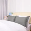 2 Pcs Queen 1800 Series Soft Brushed Microfiber Pillowcase Grey - PiccoCasa -Home Decor Shop GUEST 65f94a35 b3b7 410c a220 2b16b566e7bb