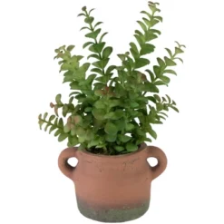 Northlight Real Touch™ Artificial Privet Plant In Vintage Milk Can Style Earthenware Pot - 14" 12 Northlight Real Touch™ Artificial Privet Plant In Vintage Milk Can Style Earthenware Pot - 14" -Home Decor Shop GUEST 7bb5343f 410d 43a4 a6ac 409a8d669a88