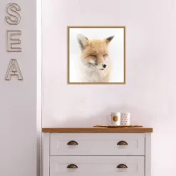 16" X 16" Satisfied Fox By Doris Reindl Framed Canvas Wall Art - Amanti Art -Home Decor Shop GUEST 89390550 3a37 42ff 88ca 5c168e6e1176