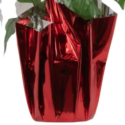 Northlight 14.5" White Artificial Christmas Poinsettia With Red Wrapped Base -Home Decor Shop GUEST 92ac672c 696d 4013 8c71 de671af28eab