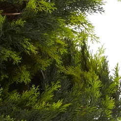 Nearly Natural 5' Cypress Spiral Tree -Home Decor Shop GUEST a0ca03f6 16cf 4c55 bc33 07076942019f