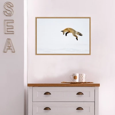 23" X 16" Red Fox In Snow By Deborah Winchester Danita Delimont Framed Canvas Wall Art - Amanti Art 6 23" X 16" Red Fox In Snow By Deborah Winchester Danita Delimont Framed Canvas Wall Art - Amanti Art - Image 4