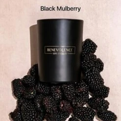Benevolence LA Black Wax Scented Candle -Home Decor Shop GUEST b029f9ca a7fb 4f78 848d 2ecbce3ad358