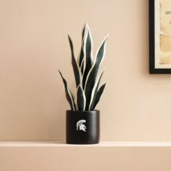 Forever Leaf Michigan State Artificial Snake, Orchid And Hydrangea Plants 3-Pack Bundle, Indoor Artificial Plant For Home Decor -Home Decor Shop GUEST b04983a5 f3d6 4974 8914 5008840deda8