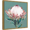 16" X 16" Blooming King Protea By Isabelle Z Framed Canvas Wall Art - Amanti Art -Home Decor Shop GUEST b534655d ada4 4ac2 adb5 0df4e3a17c82