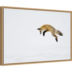 23" X 16" Red Fox In Snow By Deborah Winchester Danita Delimont Framed Canvas Wall Art - Amanti Art