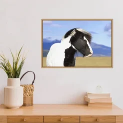 23" X 16" Icelandic Horse By Peter Langer Danita Delimont Framed Canvas Wall Art - Amanti Art -Home Decor Shop GUEST d946bf7a e7f0 43e4 9432 89ce78f36e5c