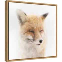 16" X 16" Satisfied Fox By Doris Reindl Framed Canvas Wall Art - Amanti Art