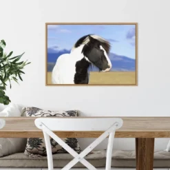23" X 16" Icelandic Horse By Peter Langer Danita Delimont Framed Canvas Wall Art - Amanti Art -Home Decor Shop GUEST f38b4511 3ebb 4e01 ab40 81e6f10d5b9b